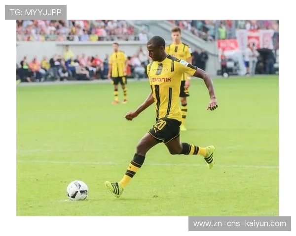 德甲残疾球迷专属座位增加，获平等组织表彰